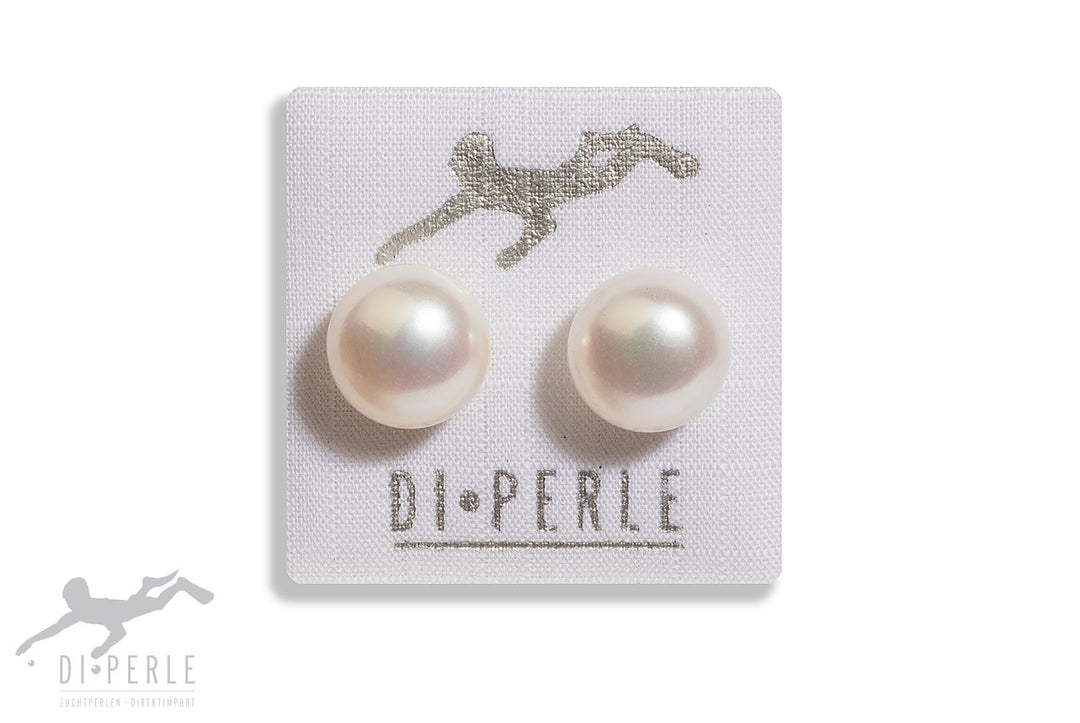 10-11mm pearl stud earrings 37404 - Armin Lowe Jewellers