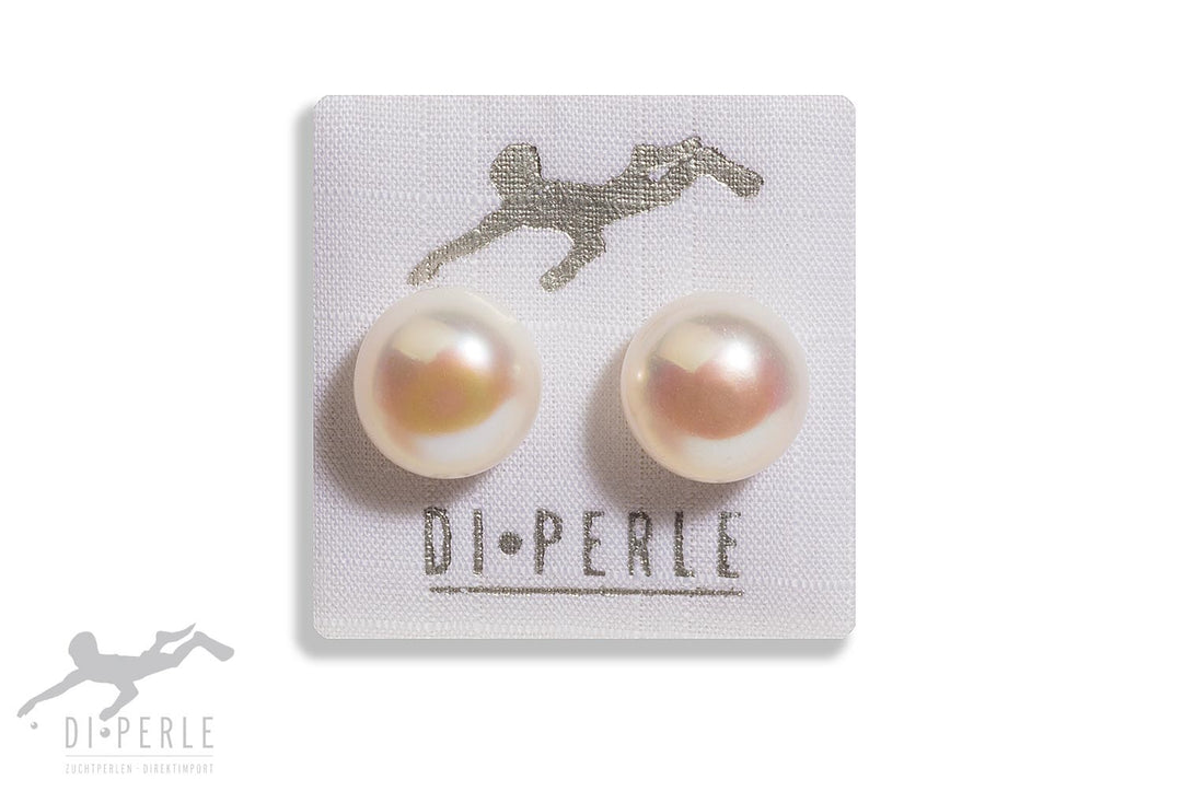 Large Cultured pearl earring studs 37626